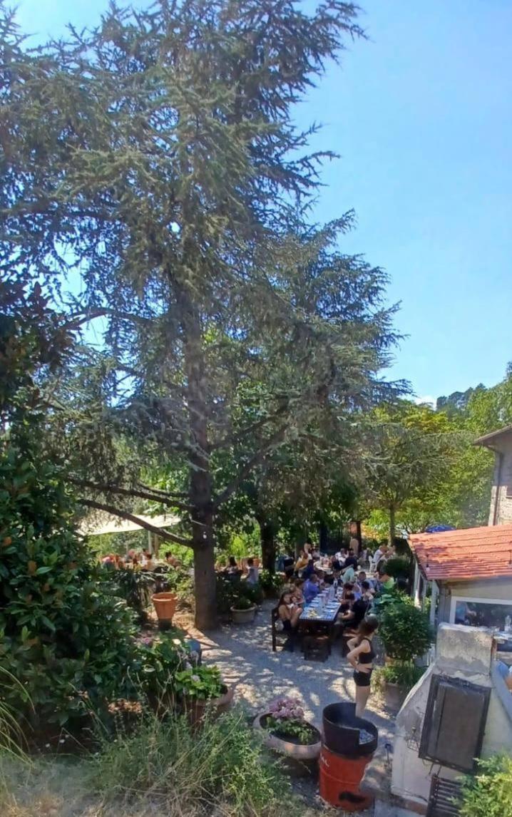 Ala Di Maniero In Agriturismo Valdrago In Toscana, Nel Verde Mugello Sulle Colline Di Firenze Borgo San Lorenzo Eksteriør billede