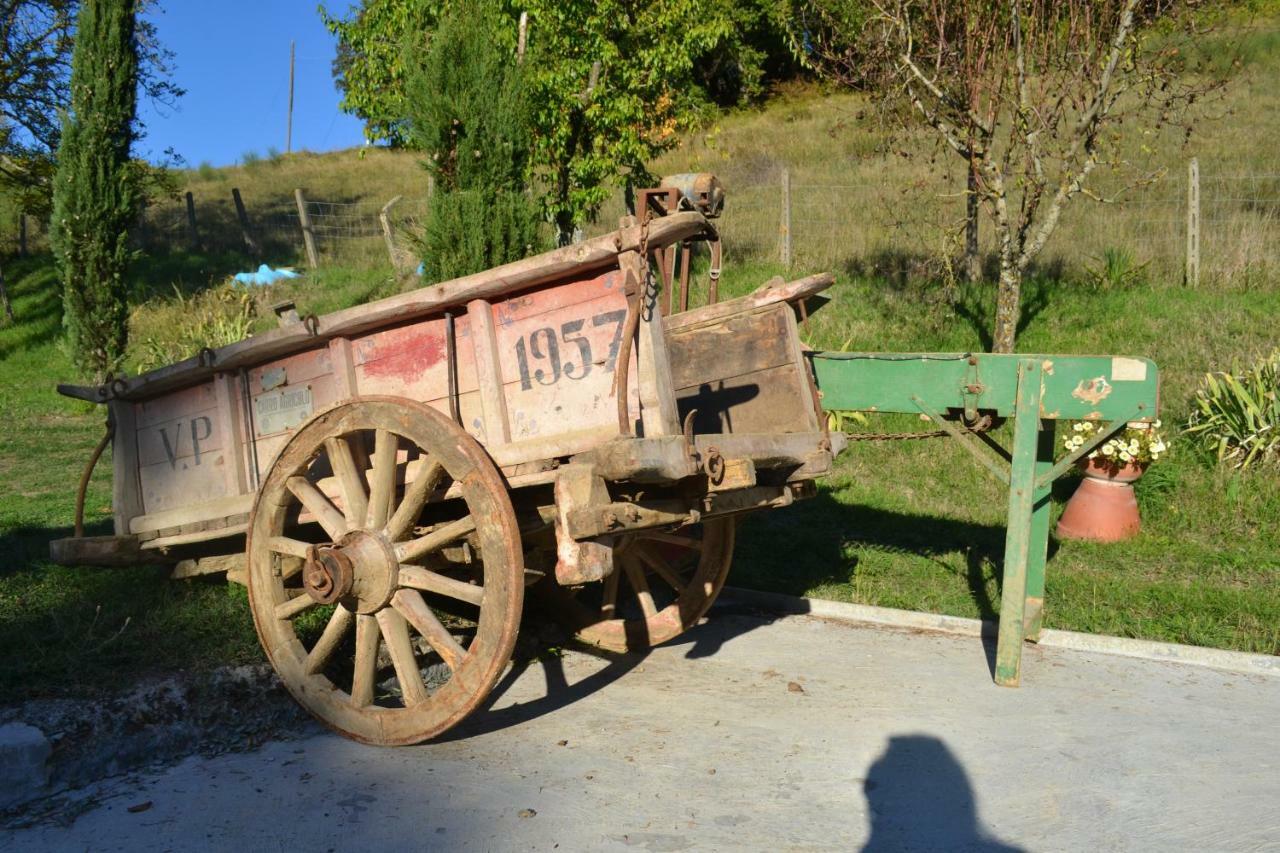 Ala Di Maniero In Agriturismo Valdrago In Toscana, Nel Verde Mugello Sulle Colline Di Firenze Borgo San Lorenzo Eksteriør billede