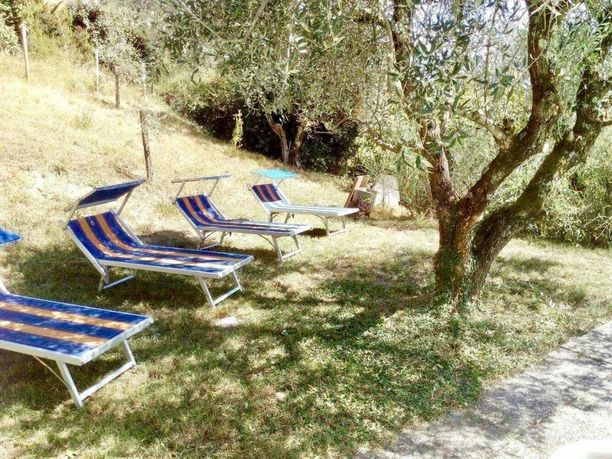 Ala Di Maniero In Agriturismo Valdrago In Toscana, Nel Verde Mugello Sulle Colline Di Firenze Borgo San Lorenzo Eksteriør billede