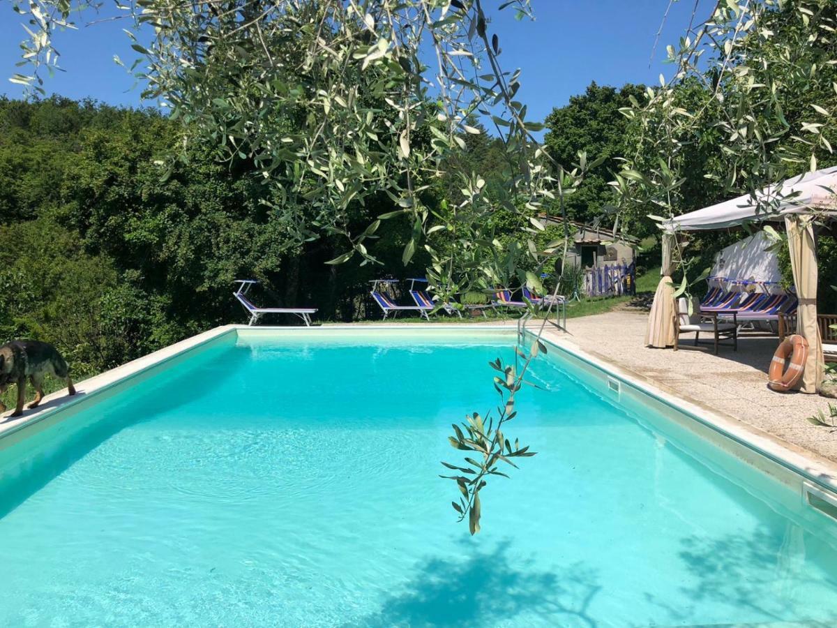 Ala Di Maniero In Agriturismo Valdrago In Toscana, Nel Verde Mugello Sulle Colline Di Firenze Autodromo Mugello Circuit Borgo San Lorenzo Eksteriør billede